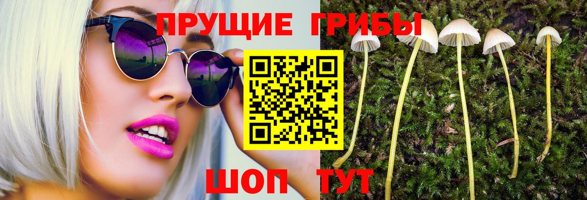 Псилоцибиновые грибы прущие грибы Абинск